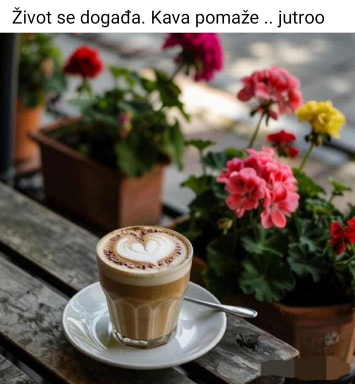 a cup of coffee sitting on a table with flowers at Studio apartman Salopek in Ogulin