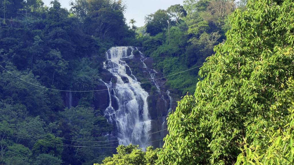 a waterfall in the middle of a forest at Ever Green Mount in Ella