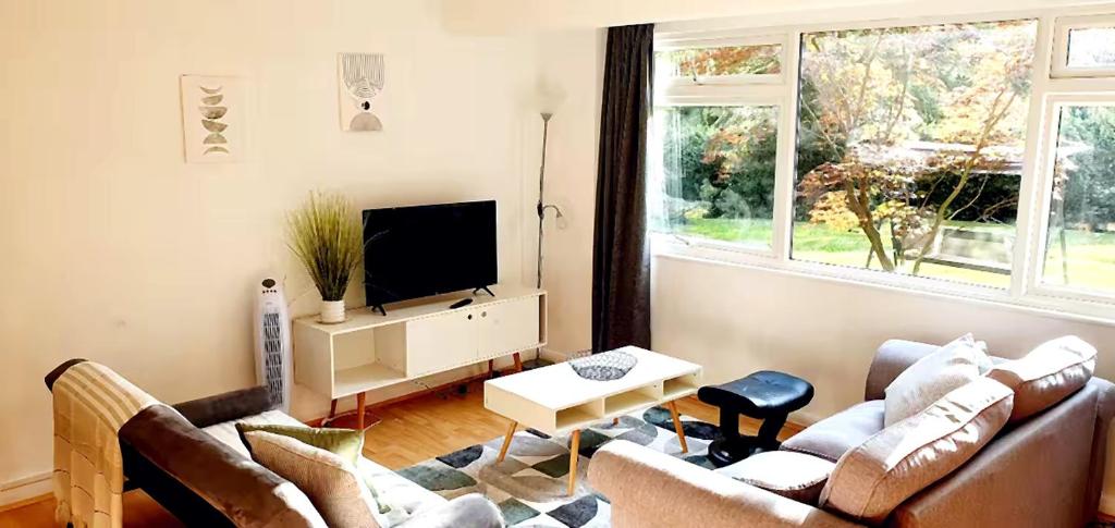 a living room with two couches and a tv at Reigate - 1 Bed by Mobius Property Solutions in Reigate
