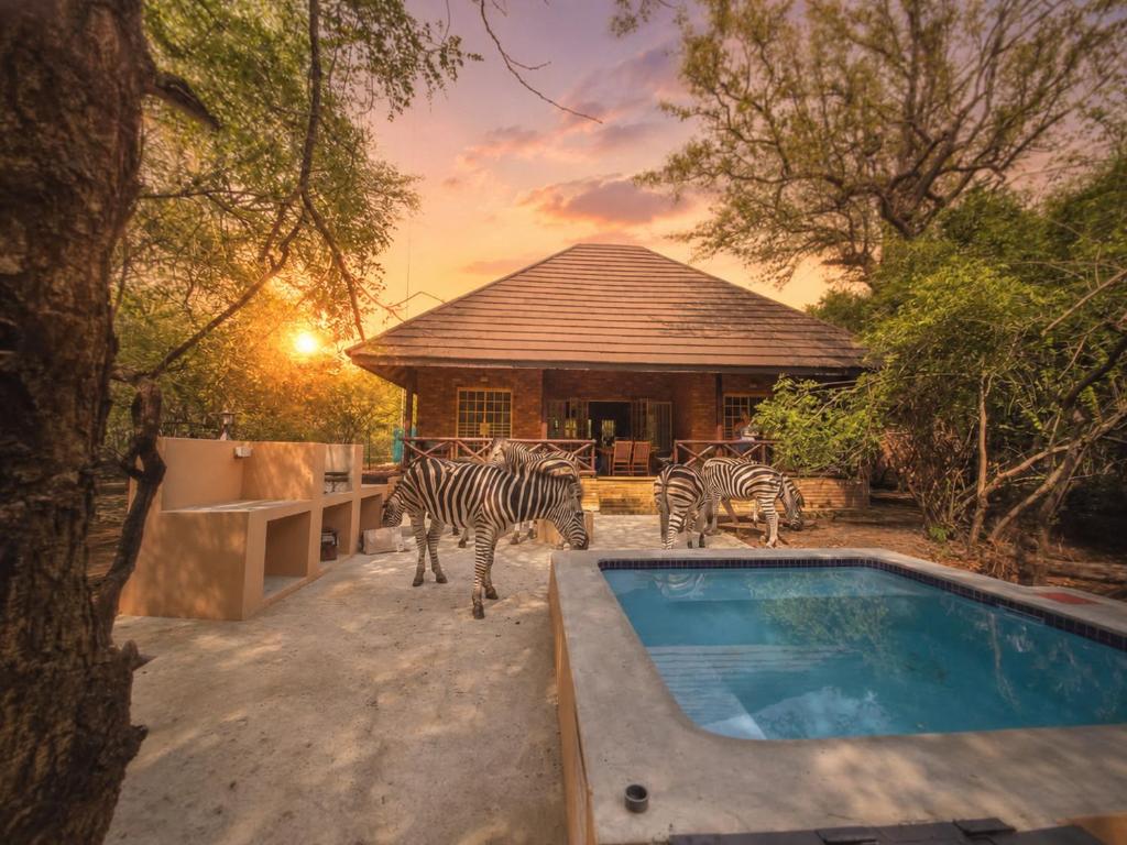 a group of zebras standing in front of a building at Dumela Afrika in Marloth Park