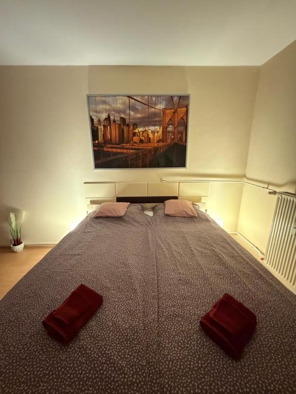 a bedroom with a large bed with two red pillows on it at Casa Cristina in Pécs