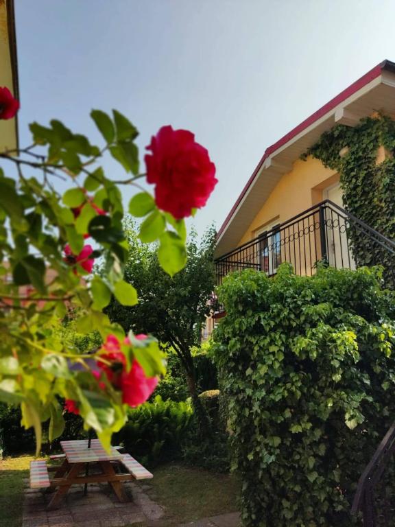 a picnic table in front of a house with red roses at Olimpia Pobierowo in Pobierowo