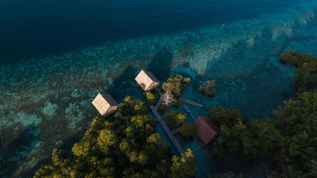 an aerial view of an island in the water at Yonas Homestay - Raja Ampat in Besir