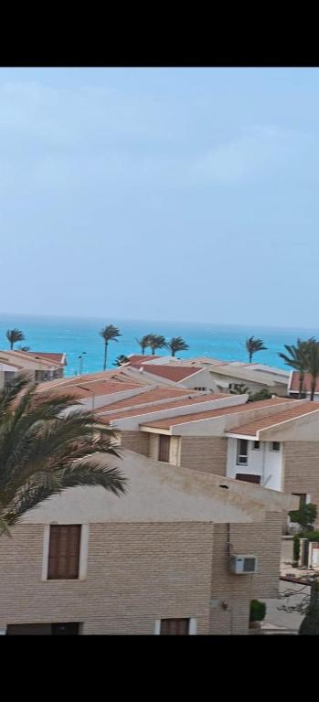 a group of buildings with palm trees and the ocean at Diamond Beach In Marina, Egyptw in Dawwār Abū Maḩrūs