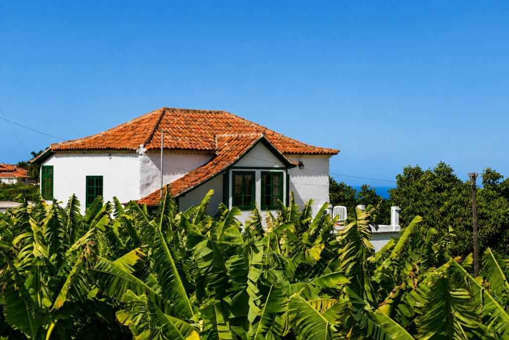 a house behind a field of bananas at La Hacienda Grande in Puerto de la Cruz