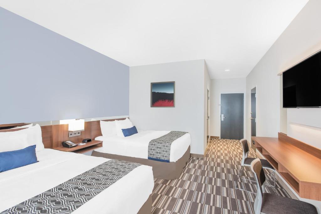 Microtel Inn & Suites by Wyndham Binghamton - 两张大号床 - 残疾人/不吸烟