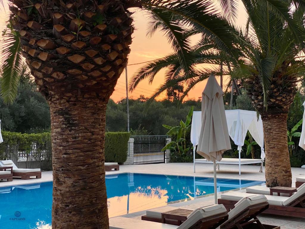 a resort with a palm tree and a swimming pool at Captains Studios & Apartments in Kavos