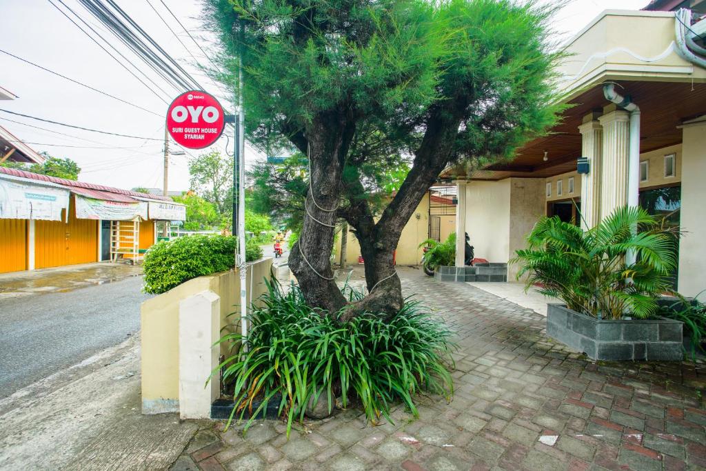 a tree on a sidewalk next to a stop sign at Capital O 90643 Suri Guest House Syariah in Padang