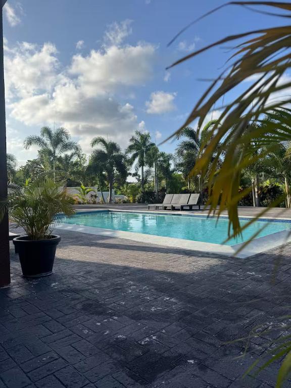 a swimming pool with two benches and palm trees at Onyx Villa in Ocho Rios