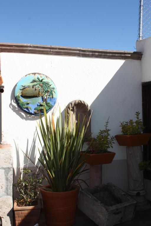 Fotografie z fotogalerie ubytování Hotel Refugio Victoria v destinaci Morelia