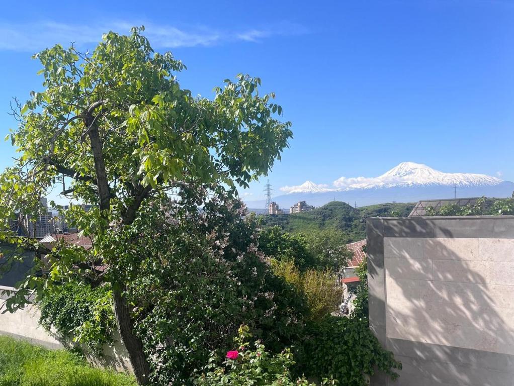 a tree with snow covered mountains in the background at Nana Grand Hotel Yerevan in Yerevan