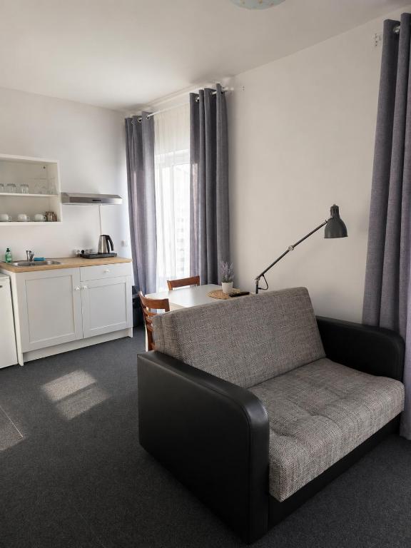 Maironio 23 apartments - 带阳台的公寓