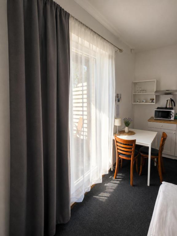 Maironio 23 apartments - 带露台的公寓