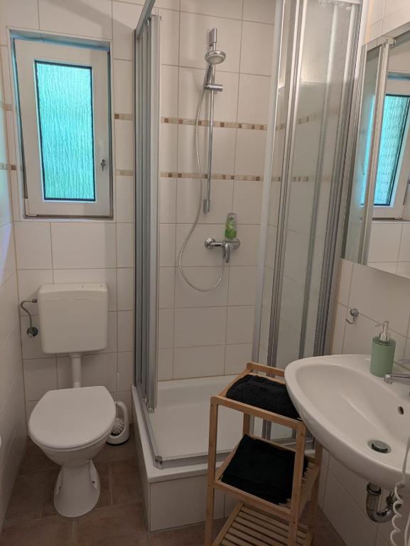 a bathroom with a shower and a toilet and a sink at Lutz Appartements Südheide - Einzelzimmer in Gifhorn