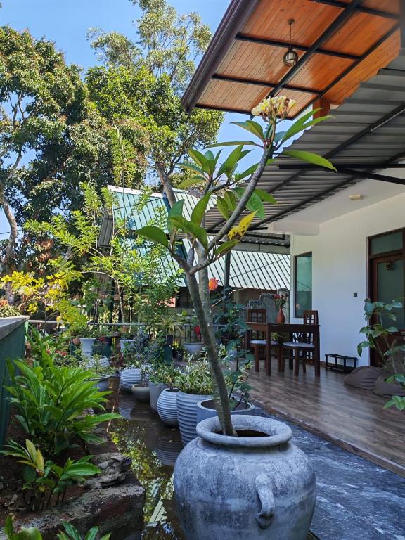 Cozy Homestay - Habitación Deluxe Con Cama Extragrande