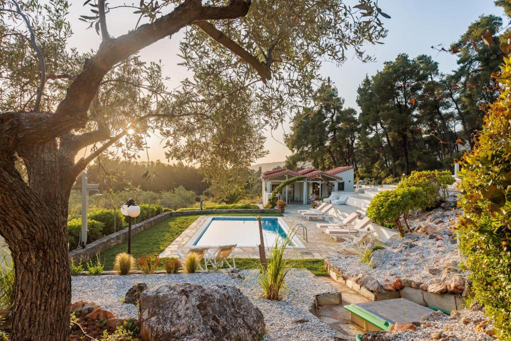 a swimming pool in a yard with a tree at Luxury Villa with Private Pool in Skopelos, Nature Retreat, Villa Pine Trees by Kardous in Alikias