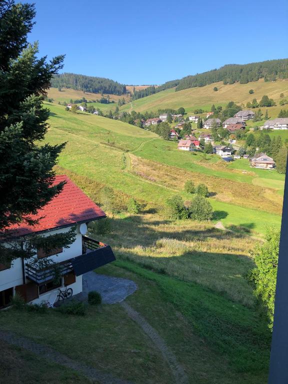 a small house with a red roof on a hill at Ferienwohnung Black Forest Hideaway in Todtnau