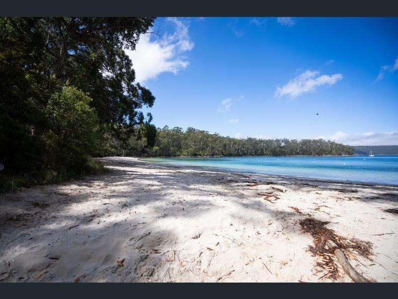a sandy beach with trees and the water at Stewarts Bay Retreat in Port Arthur