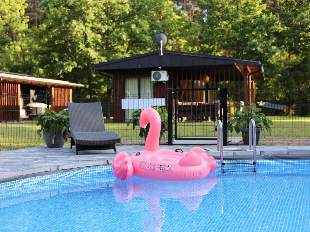 a pink swan float in a swimming pool at Leśny Azyl in Zwierzyniec