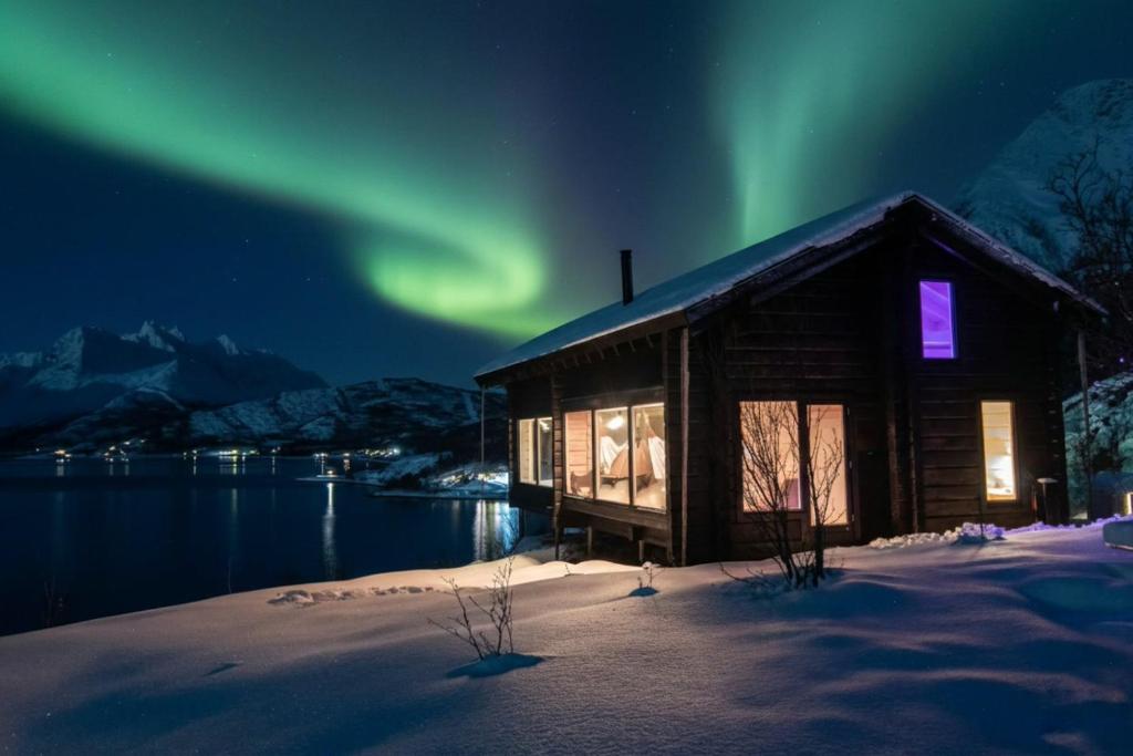 a cabin with the northern lights in the sky at Sommarbukt Tind - Luxury Fjord Lodge near Tromsø in Tromsø