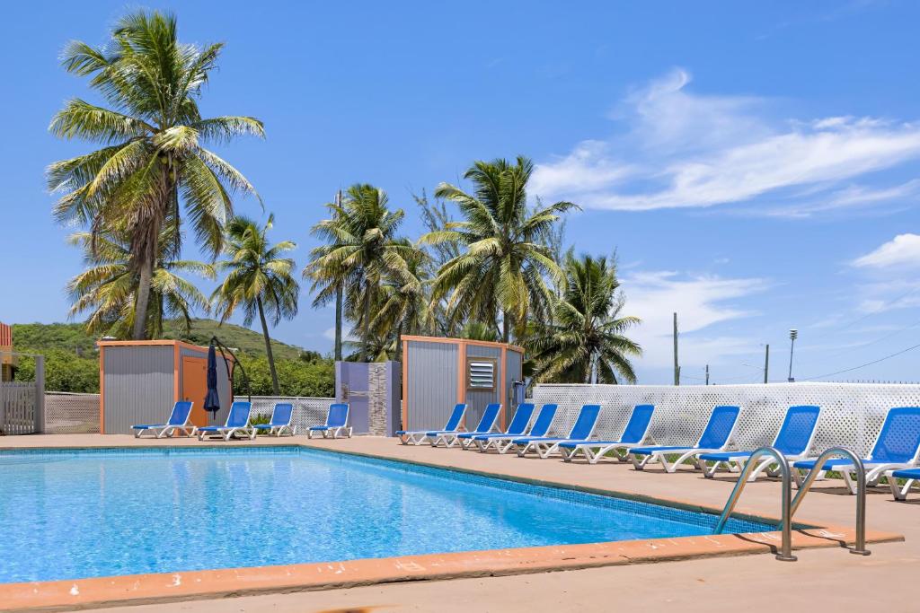 a pool with blue lounge chairs and palm trees at Caribbean View for You condo in Christiansted