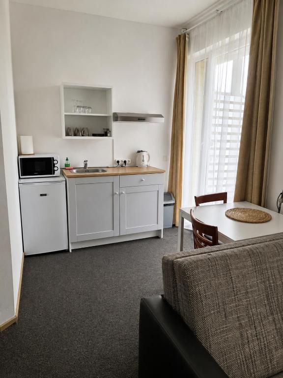 Maironio 23 apartments - 带露台的公寓