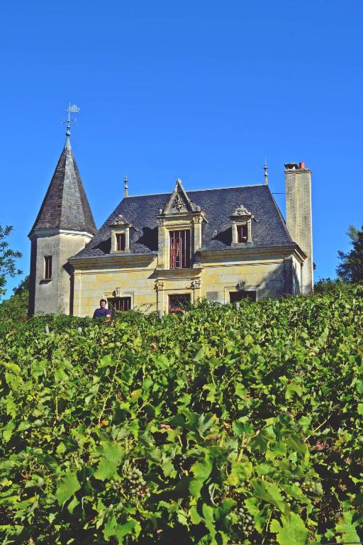 an old house behind a field of grape vines at Domaine Lainault - Chambre Jasnières in Lhomme
