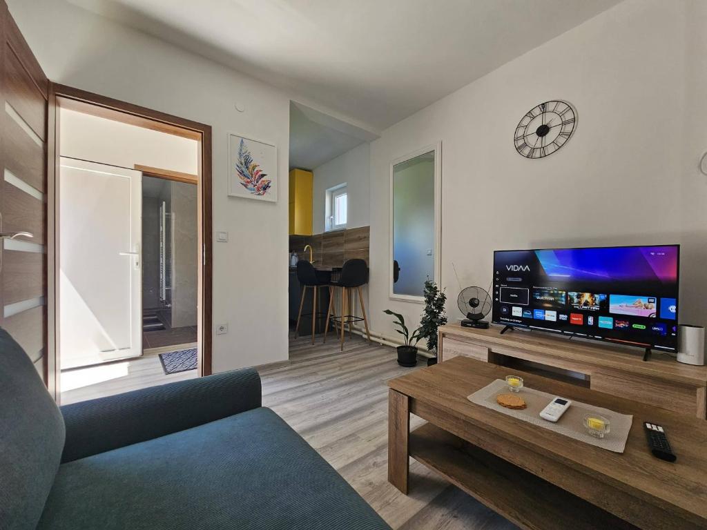 a living room with a couch and a tv at Apartman ANTEO in Slavonski Brod