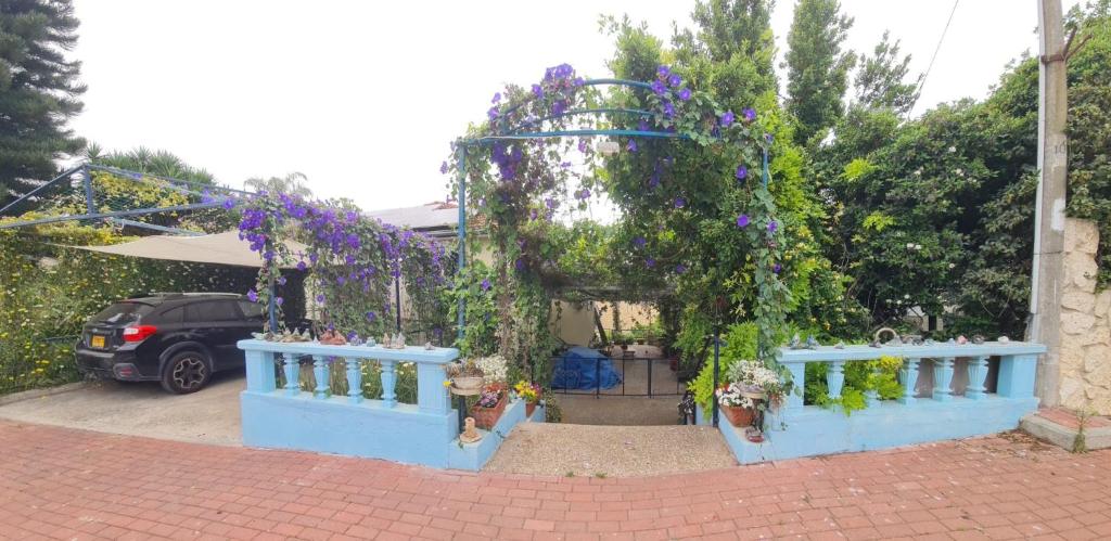a garden with a blue fence and purple flowers at המקום של אמי Emmys Place in ‘En Ha‘Emeq