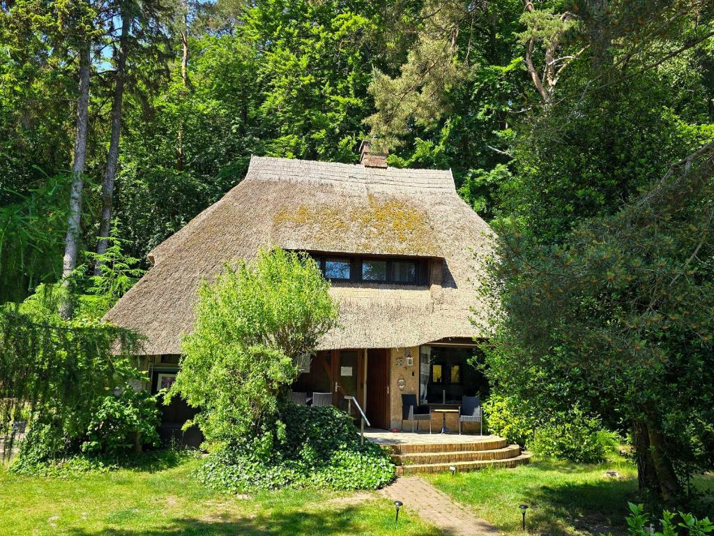a thatch roofed house in the middle of a forest at Reethus Mandy in Staphel