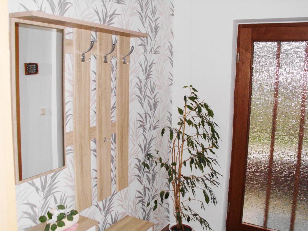 a mirror and a plant in a room with a wall at Ferienwohnung Boddennähe in Polchow