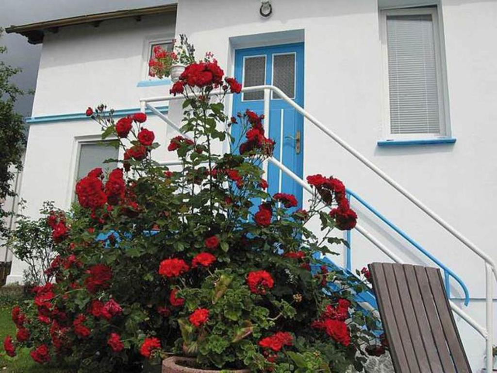 a flower pot with red flowers in front of a house at Ferienwohnung Thurk in Sassnitz