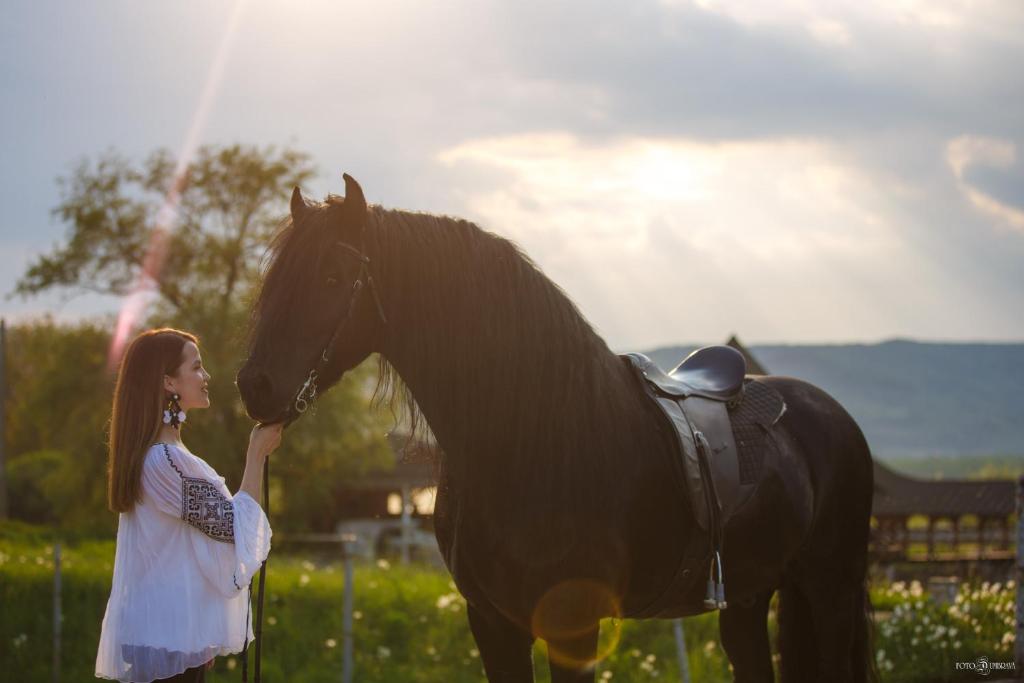 a girl is standing next to a horse at Pensiunea Ținutul Mărului in Voineşti