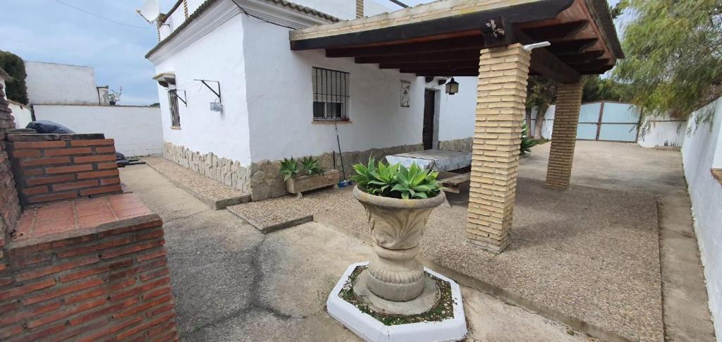 a plant in a vase in front of a house at Casa Samuel con piscina comunitaria y porche in Cádiz