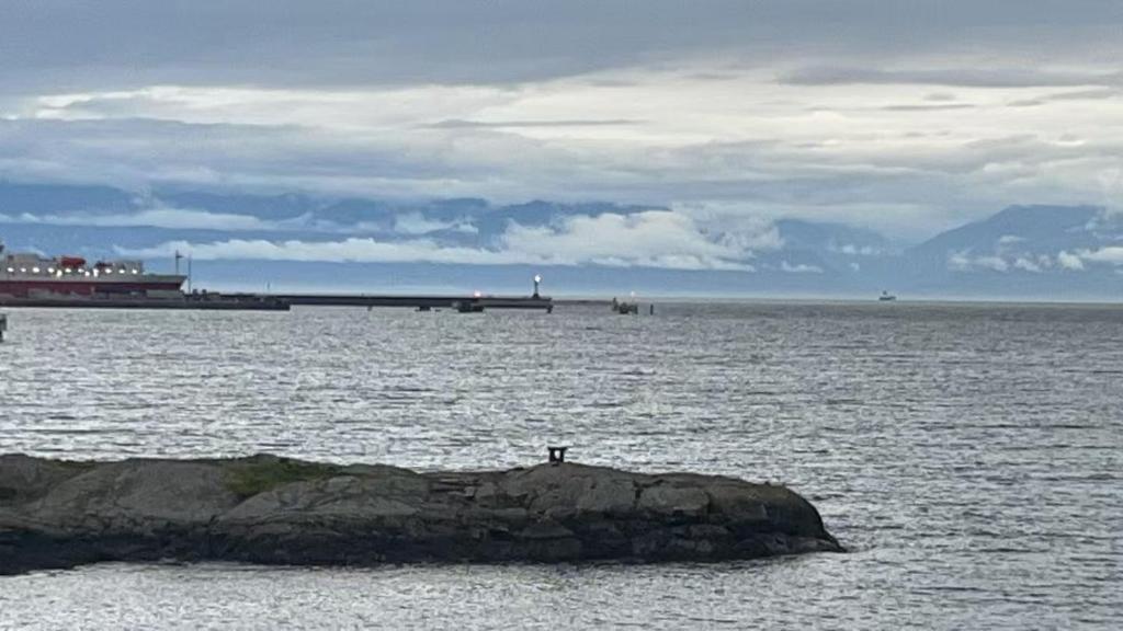 a person sitting on a rock in the middle of the ocean at ocean view two bedroom suite in Oak Bay