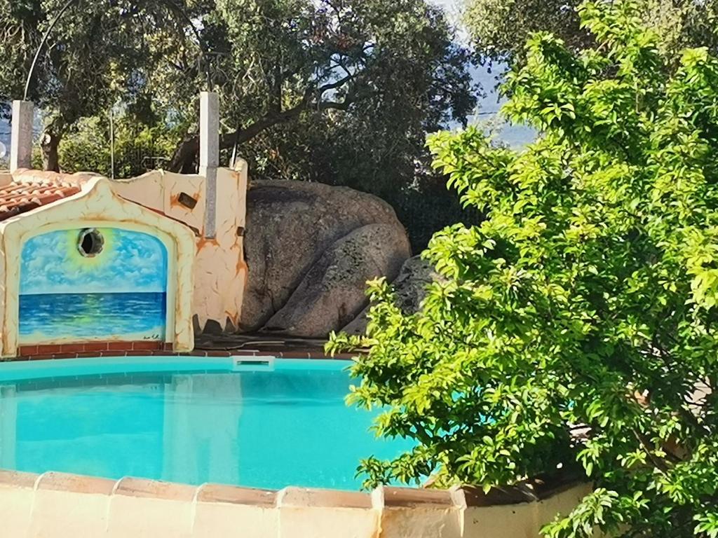 a swimming pool in front of a house with a dog house at Villa Su Navru in Irgoli