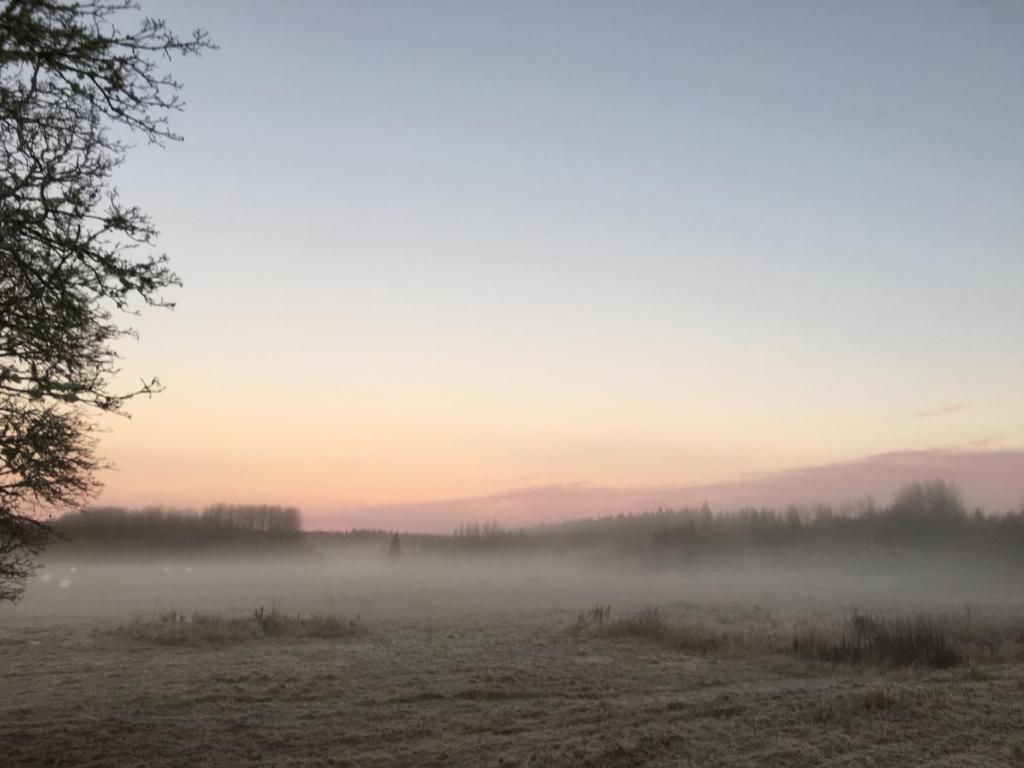 Gallery image of Bergsmansgårdens Gästhus in Asphyttan