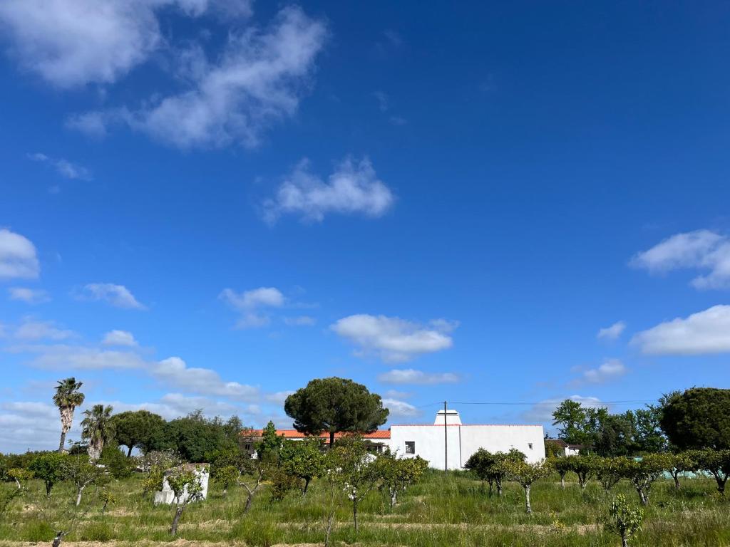 a white building in a field with trees and a blue sky at Monte da Palmeira in Vila Nova da Baronia