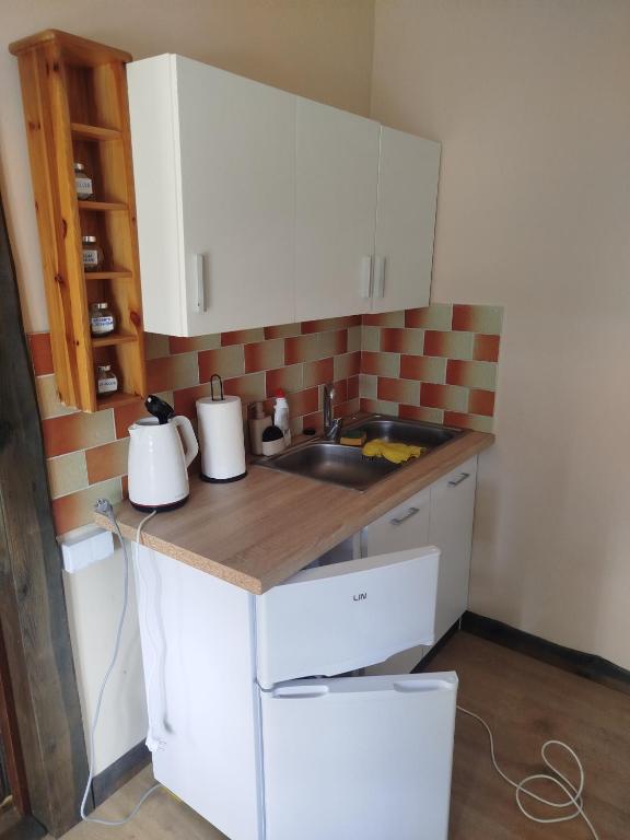 a kitchen with a sink and a counter top at Zakątek Wejsuny in Ruciane-Nida