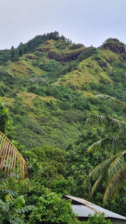 Fare Vaitakiri - photo 11 - Moorea, Polynésie
