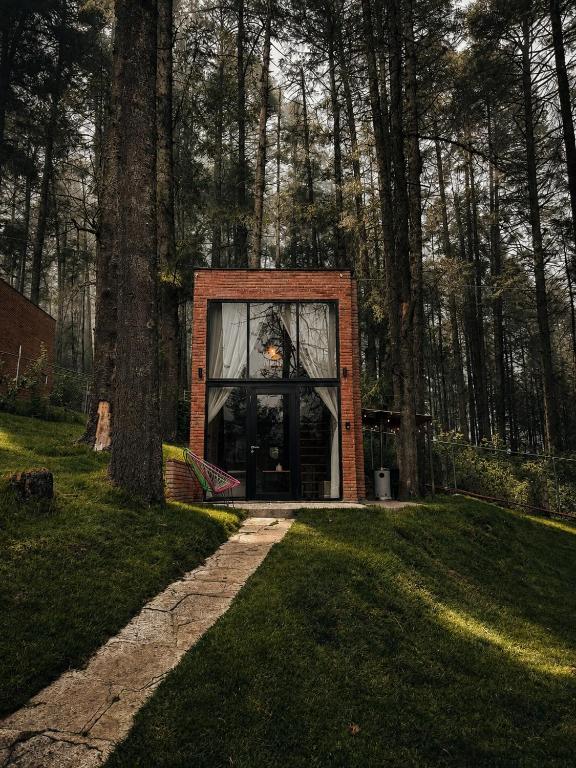 a tiny house in the middle of a forest at Cabañas Boutiques TinyChillHouse in Mineral del Chico
