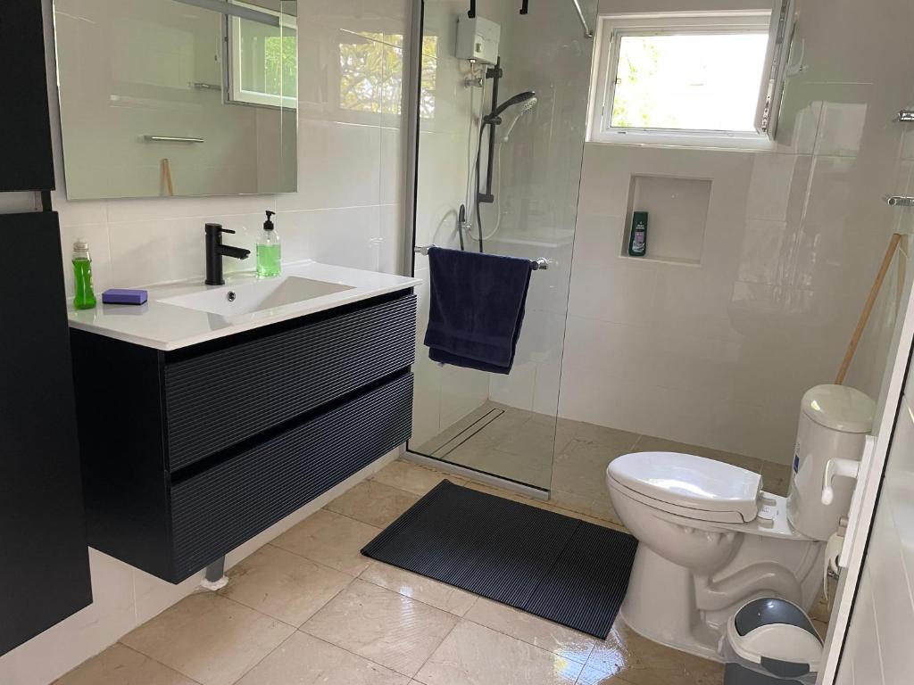 a bathroom with a shower and a sink and a toilet at Studio agnes in Palm-Eagle Beach