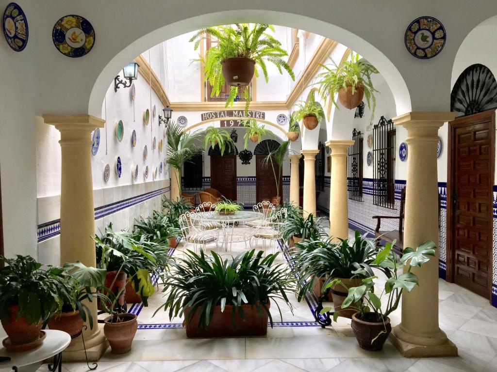 Fotografie z fotogalerie ubytování Hostal Maestre v destinaci Córdoba