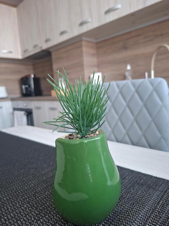 a green vase with a plant in it on a kitchen counter at Harmonia in Ruse