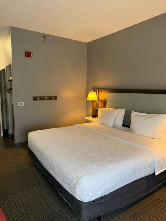 Hampton Inn Conyers photo