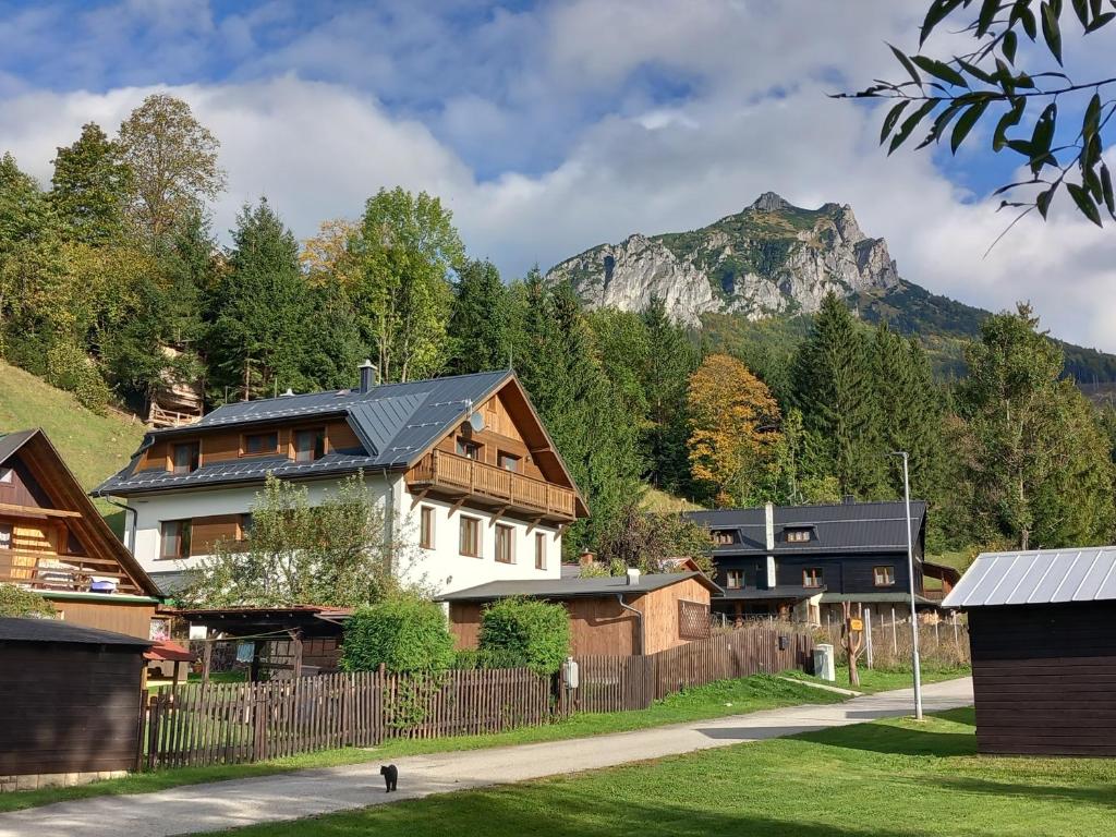 a group of houses with a mountain in the background at U Belianky in Terchová