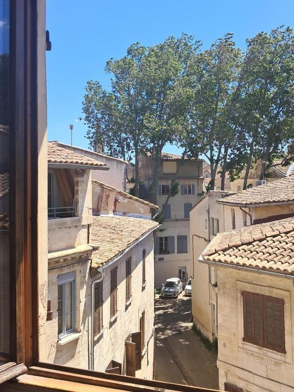 L'oiseau citadin