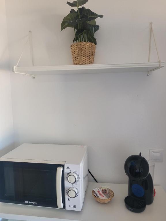 Apartamento Estudio con vistas al mar - Planta baja