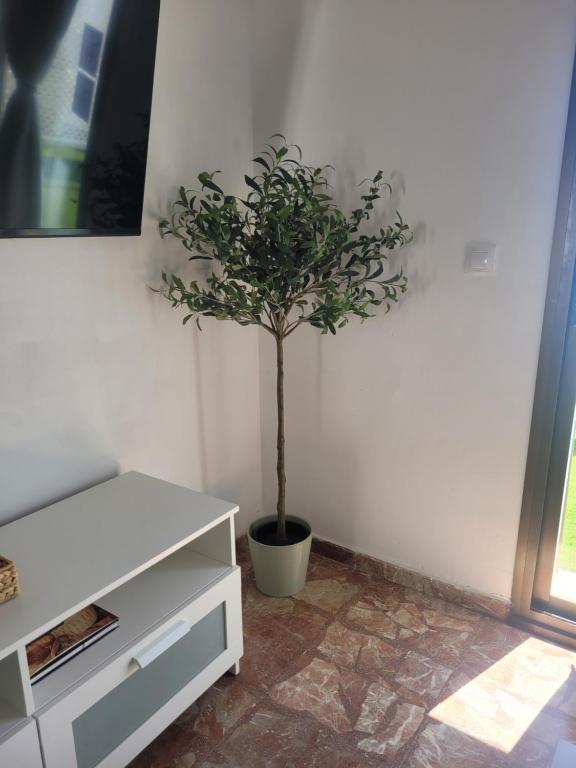 Estudio con terraza