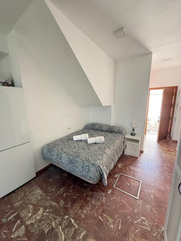 Estudio con terraza